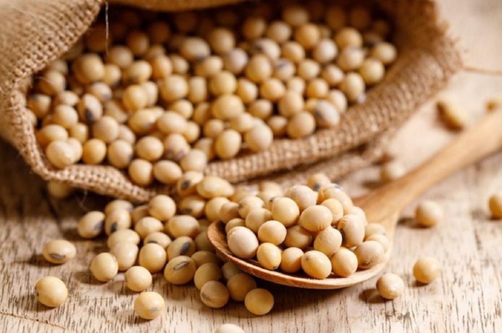 [쿠킹 클래스] 콩 소비촉진 프로그램 이미지